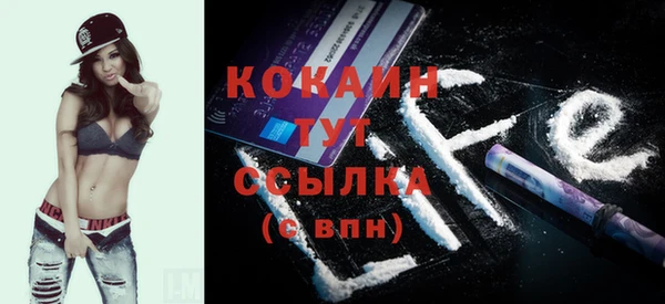 дживик Богородицк
