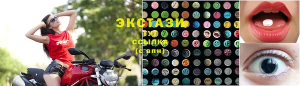 дживик Богородицк