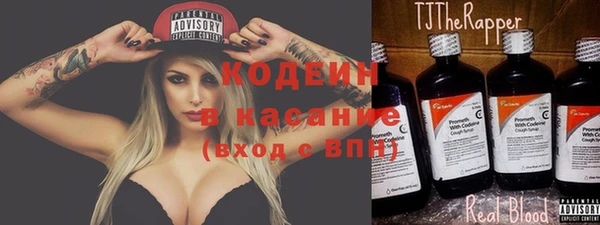 дживик Богородицк