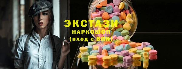 дживик Богородицк