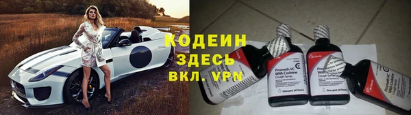 дживик Богородицк