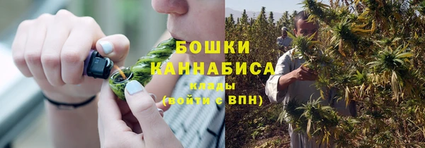 каннабис Богданович
