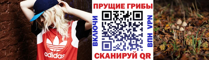 Галлюциногенные грибы Magic Shrooms  наркошоп  Дедовск 